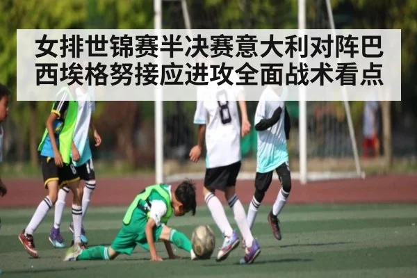 女排世锦赛半决赛意大利对阵巴西埃格努接应进攻全面战术看点